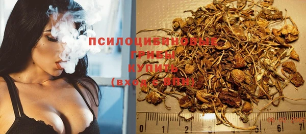скорость Арсеньев